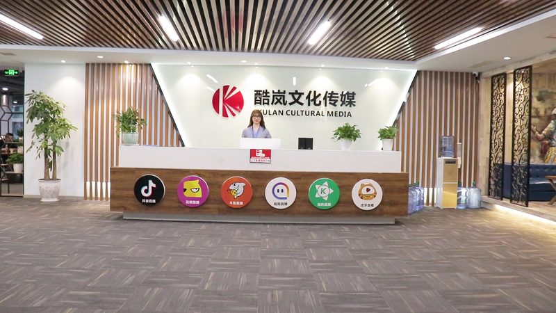 品牌设计全案：价格背后的考量因素