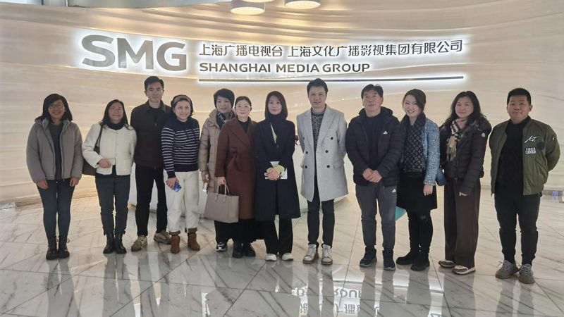 媒介投放策略制定：揭秘背后的关键要素